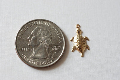 Turtle Charm