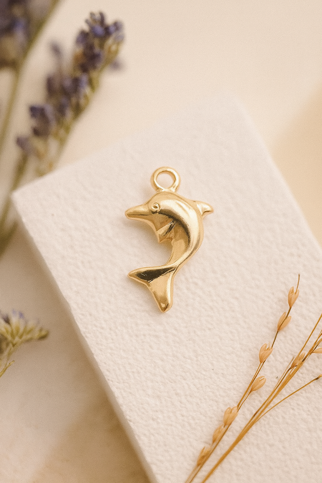 Dolphin Charm
