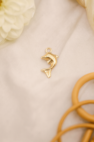 Dolphin Charm