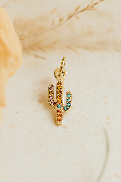 Catctus Charm