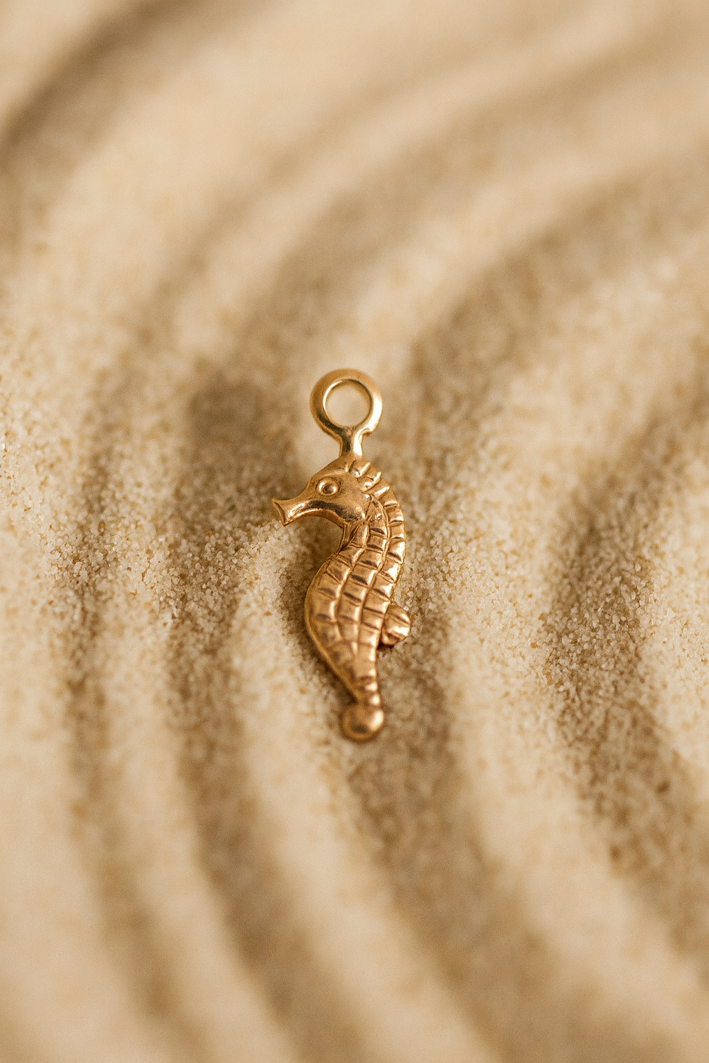 Magical Seahorse Charm