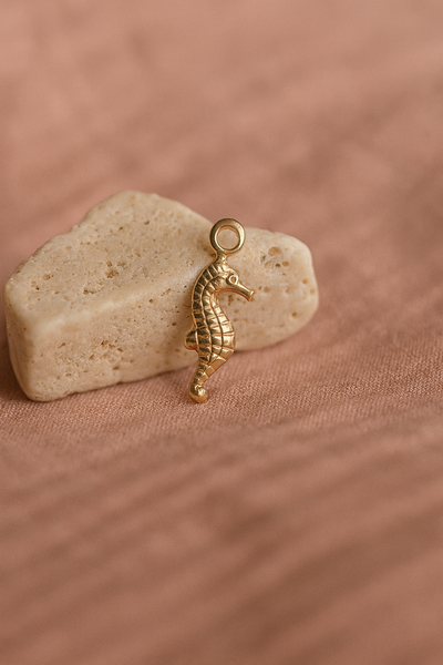 Magical Seahorse Charm