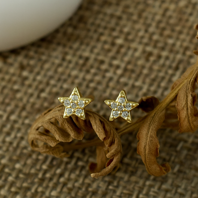 StarLight Shine Bright Earrings