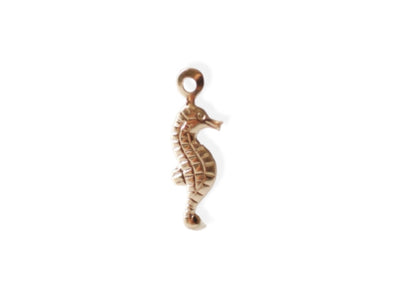 Magical Seahorse Charm