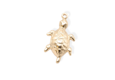 Turtle Charm