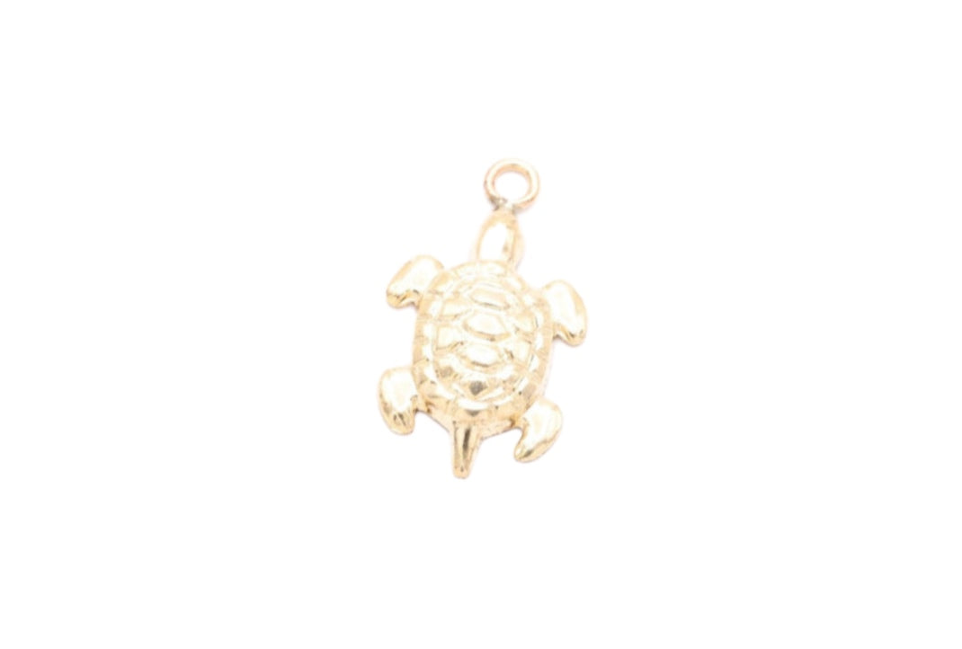 Tiny Turtle Charm