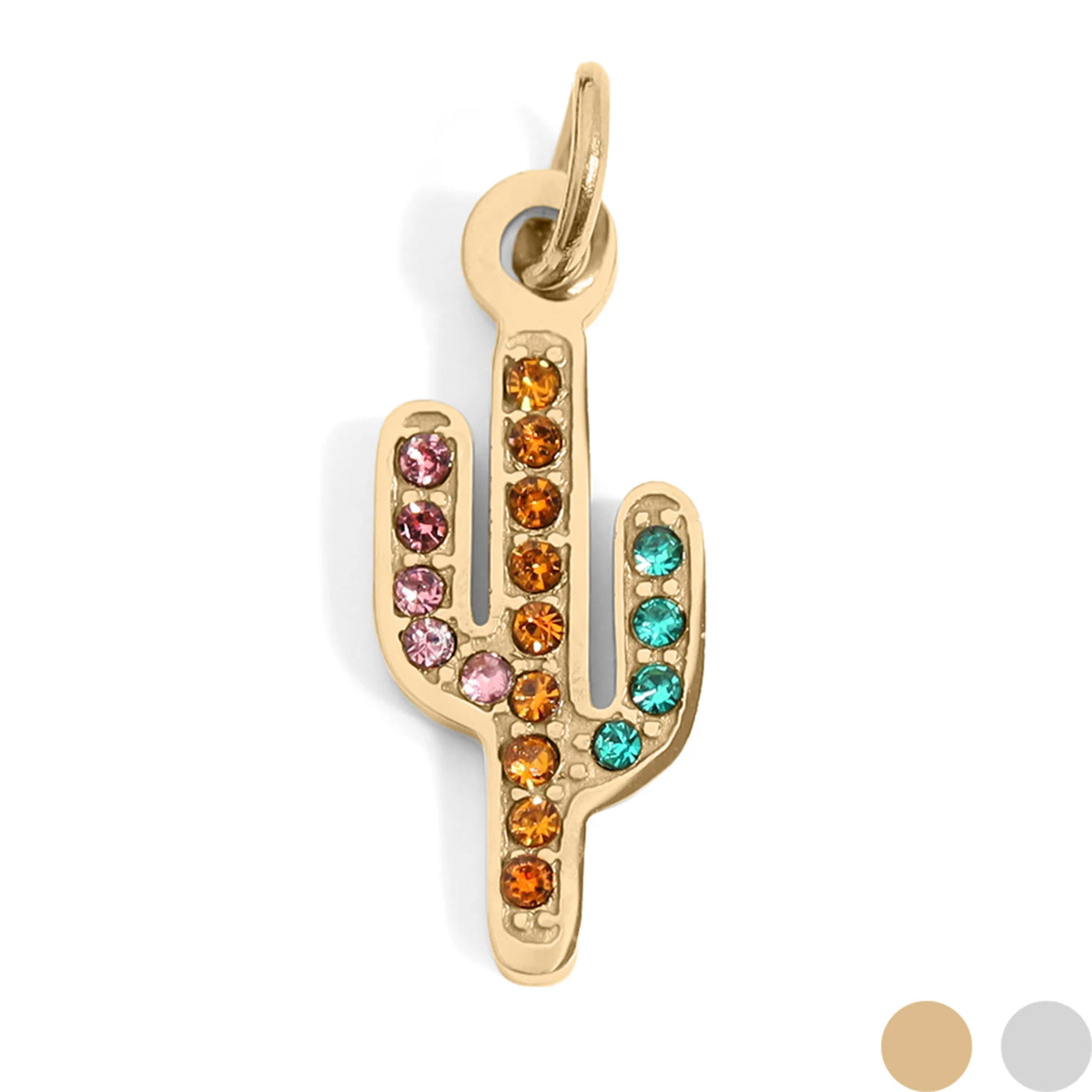 Catctus Charm