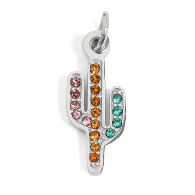Catctus Charm