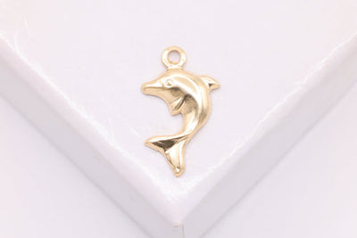 Dolphin Charm