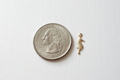 Magical Seahorse Charm