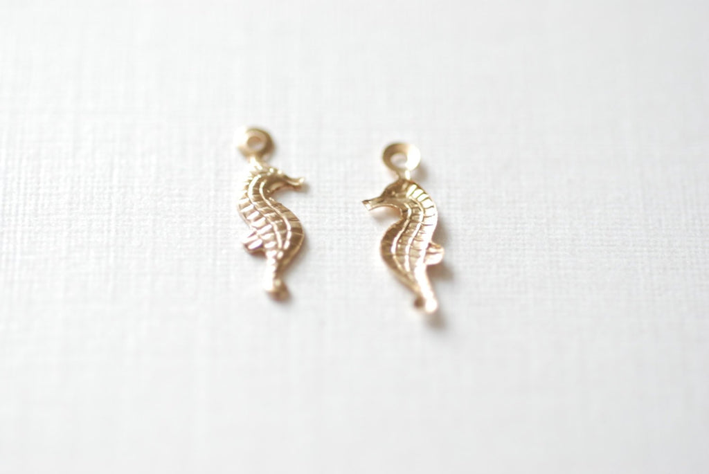 Magical Seahorse Charm