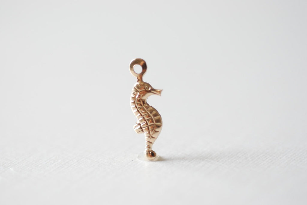 Magical Seahorse Charm
