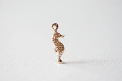 Magical Seahorse Charm