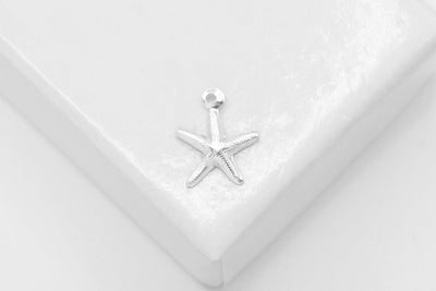 Starfish Charm