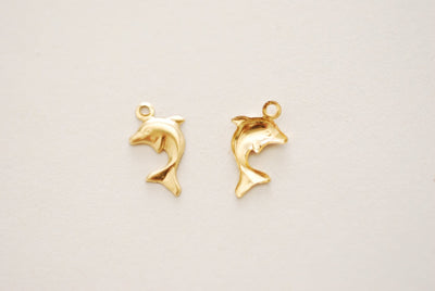 Dolphin Charm
